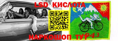 прущие грибы Абакан