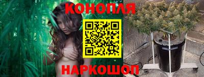 прущие грибы Абакан