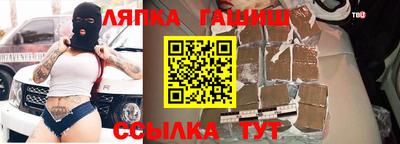 прущие грибы Абакан