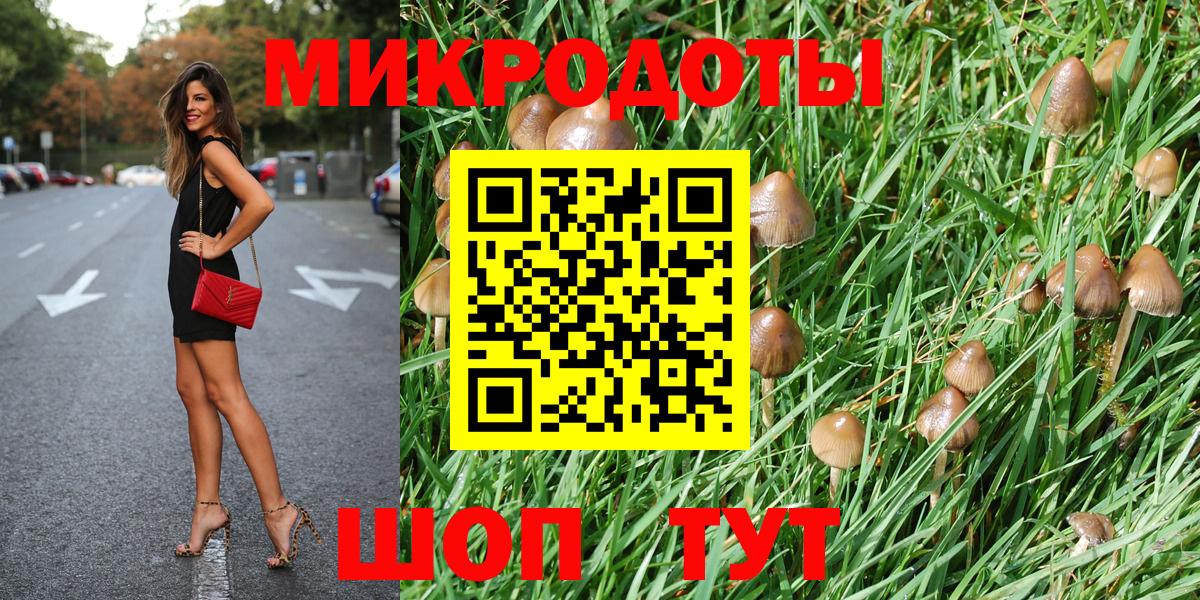 Псилоцибиновые грибы мухоморы  Вход с VPN  Александров 