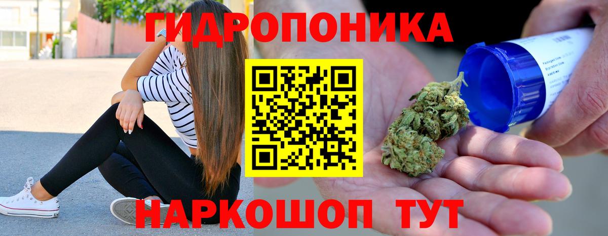 ГАШ  Александров  Конопля  МЕФ   Вход с VPN 